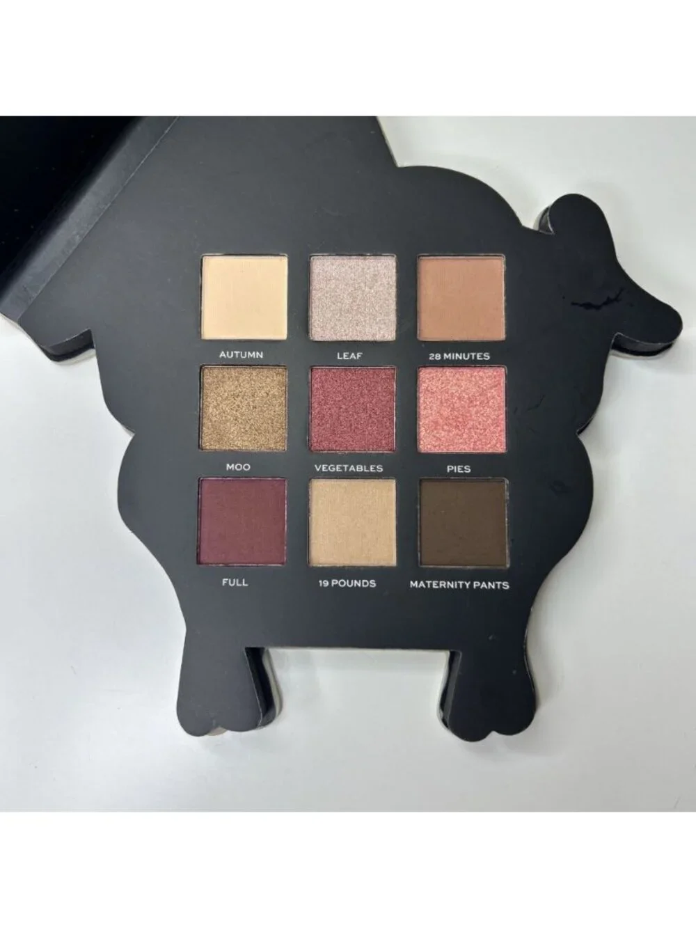 FRIENDS Eyeshadow 9 Palette Turkey Thanksgiving Makeup Revolution. No Box